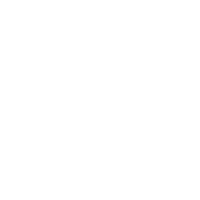 Cinematic Shoots