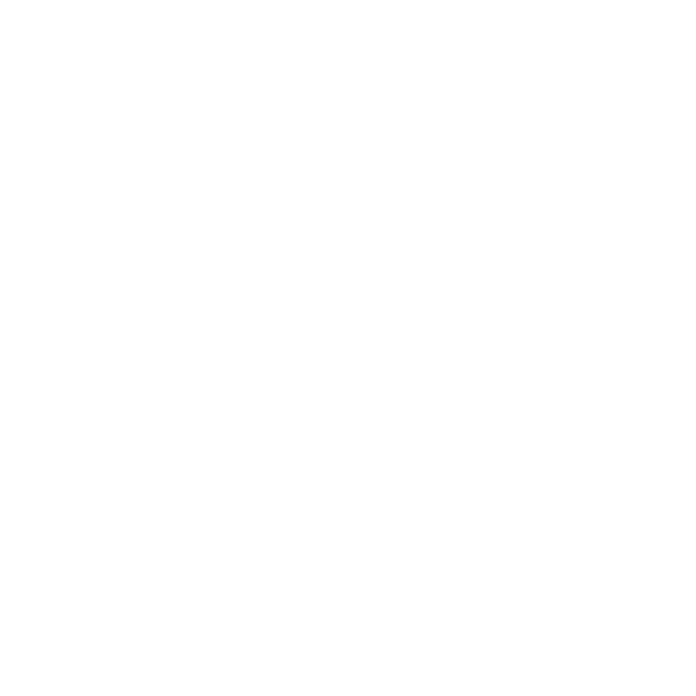 Custom App Development