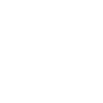 Custom Web Development