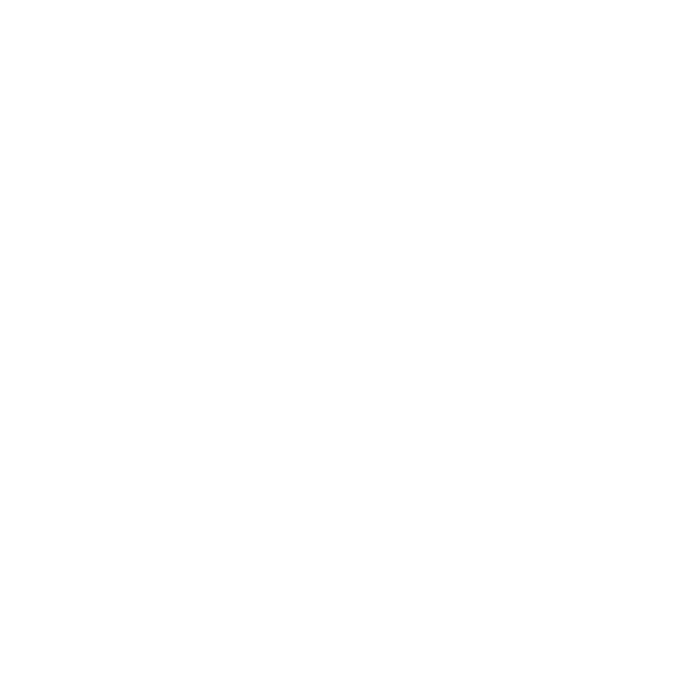 Google Ads Management