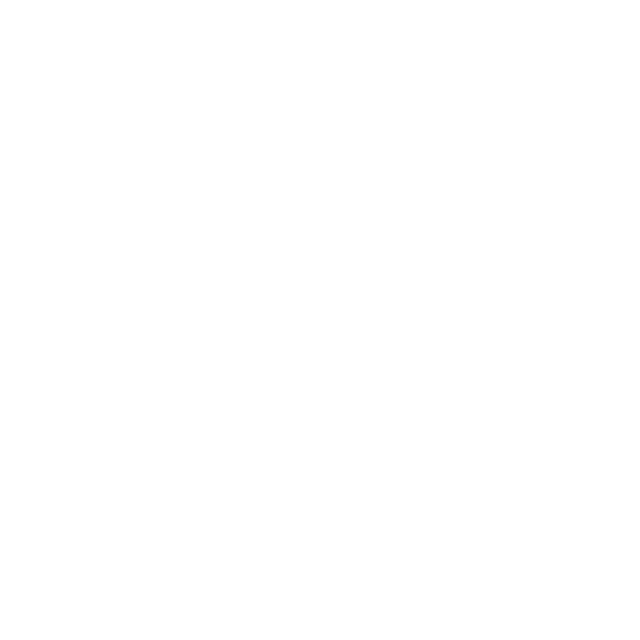 Local SEO Icon